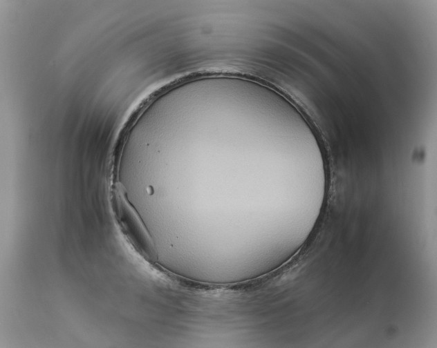 X0000113110992200909111111