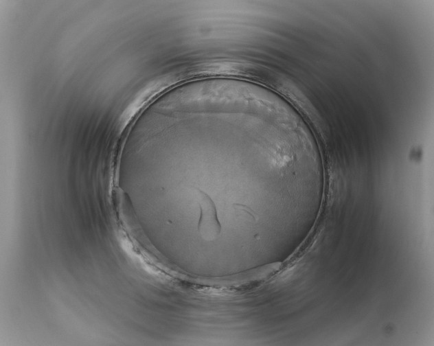 X0000113110994200909111111