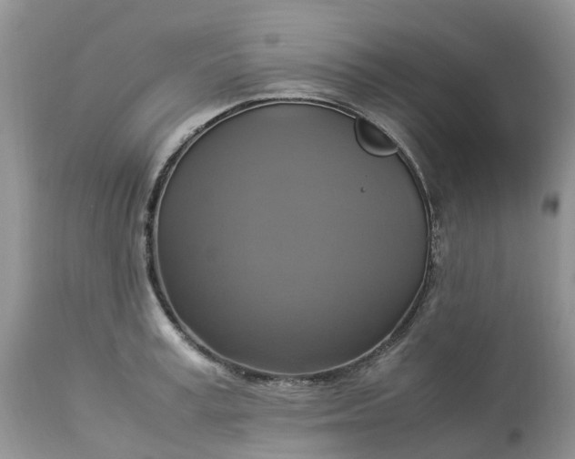 X0000113110995200909111111
