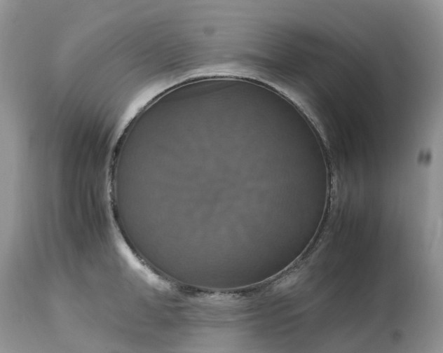 X0000113110998200909111111