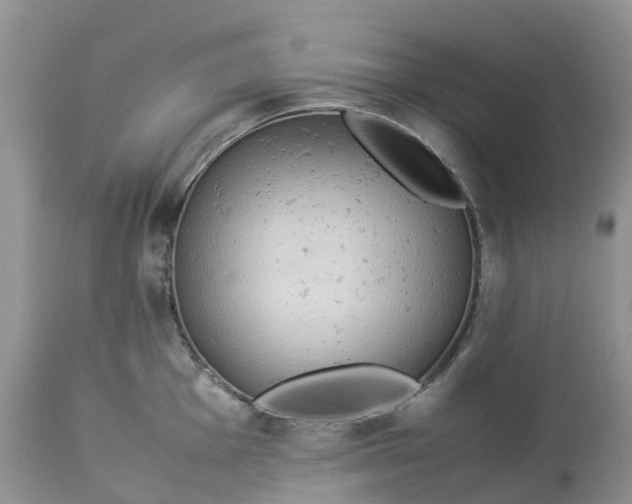 X0000113111001200909111111