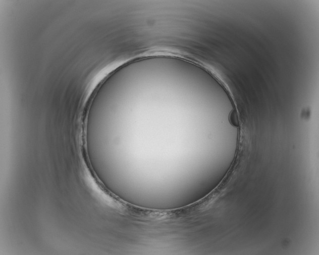 X0000113111003200909111111