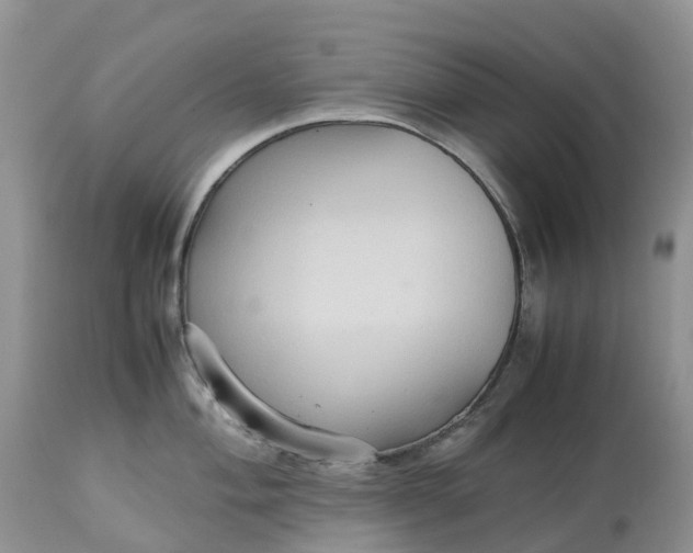 X0000113111004200909111111