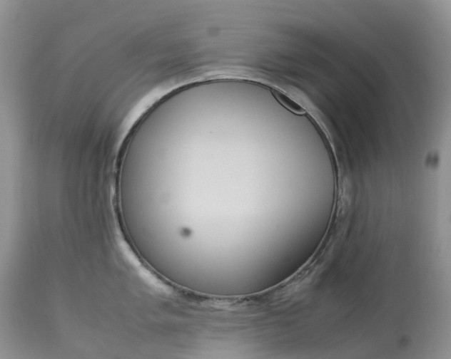 X0000113111005200909111111