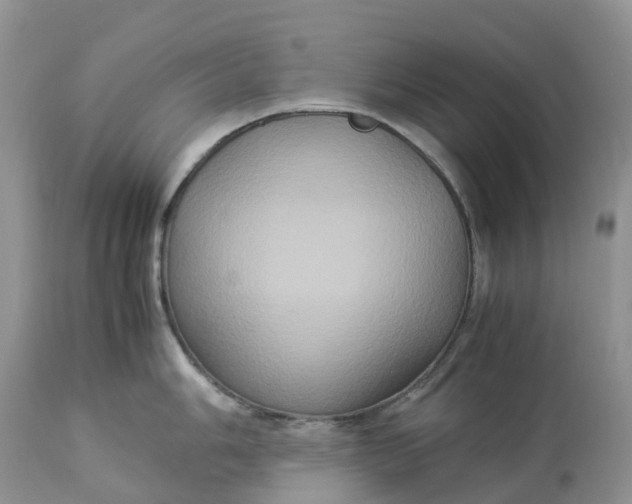 X0000113111006200909111111