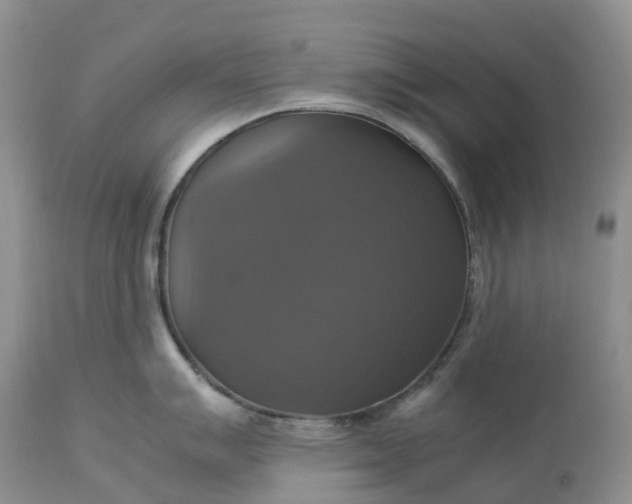 X0000113111007200909111111