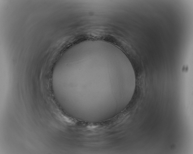 X0000113111009200909111110