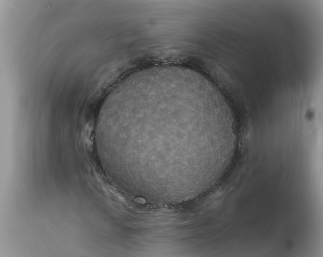X0000113111010200909111110
