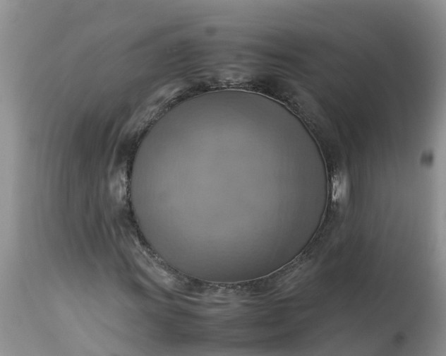 X0000113111011200909111110