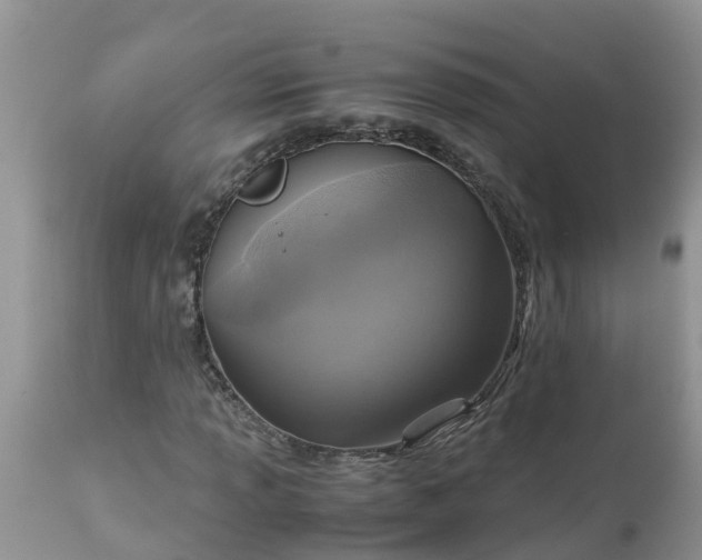 X0000113111013200909111110