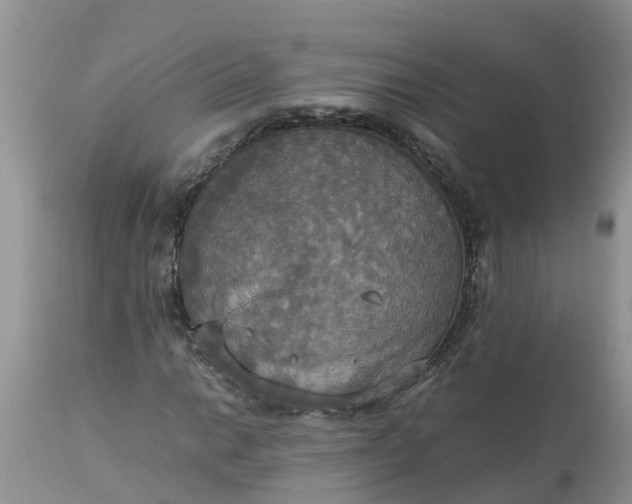 X0000113111014200909111110