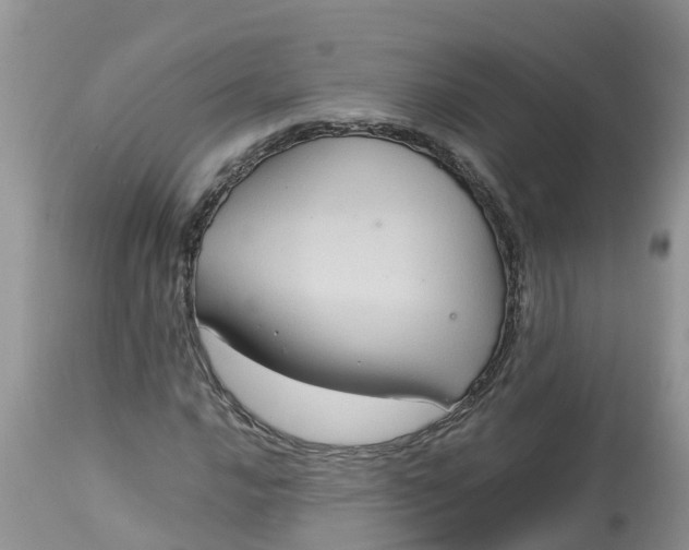 X0000113111016200909111110