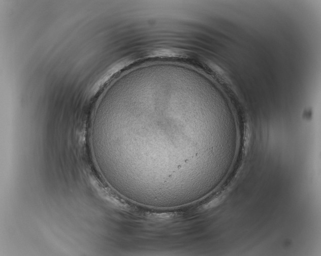 X0000113111017200909111110