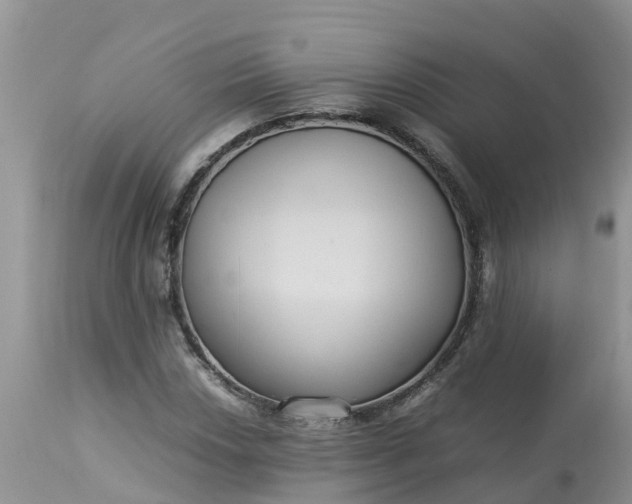 X0000113111018200909111110