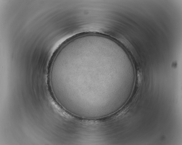 X0000113111020200909111110