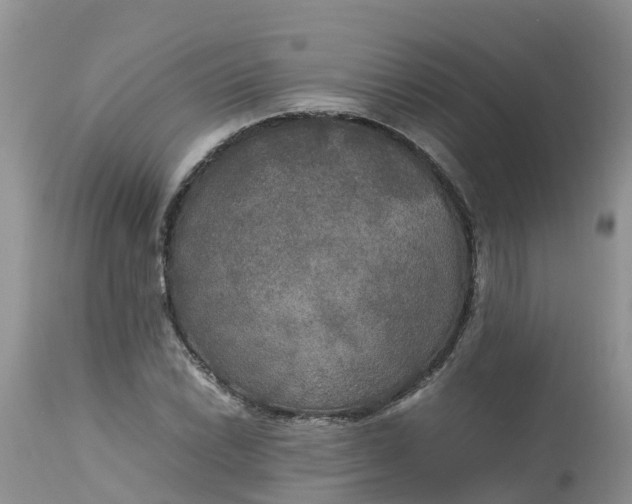 X0000113111022200909111110