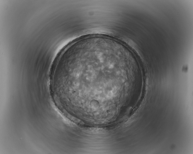 X0000113111024200909111110