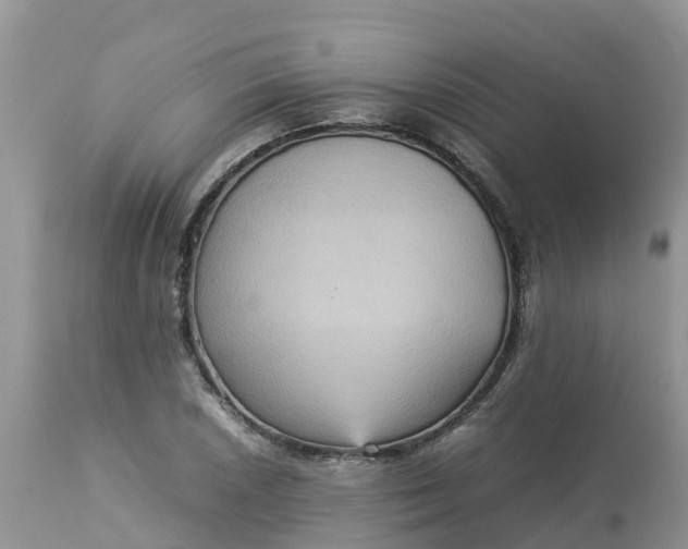 X0000113111026200909111110