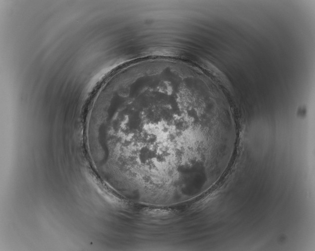 X0000113111027200909111110