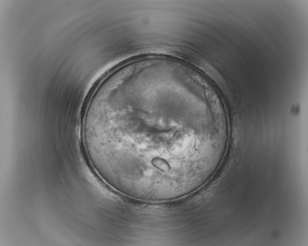 X0000113111028200909111110