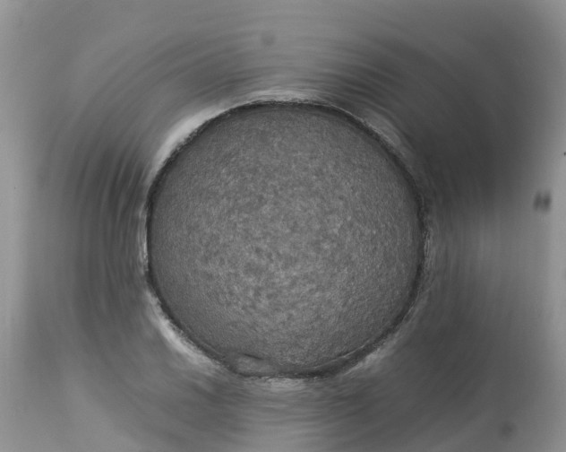 X0000113111030200909111110