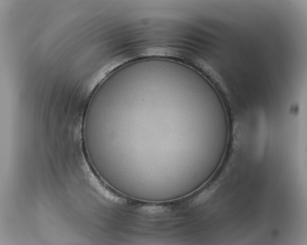 X0000113111033200909111110