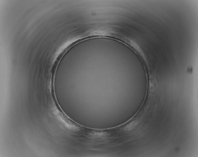 X0000113111035200909111110