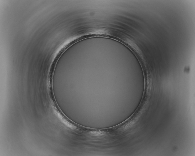 X0000113111037200909111110