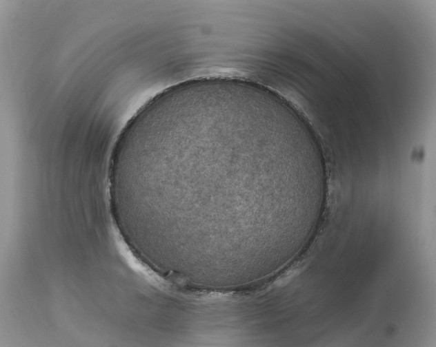 X0000113111038200909111110