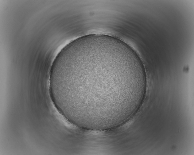 X0000113111040200909111110