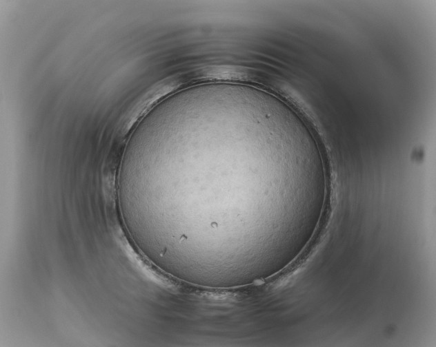 X0000113111041200909111110