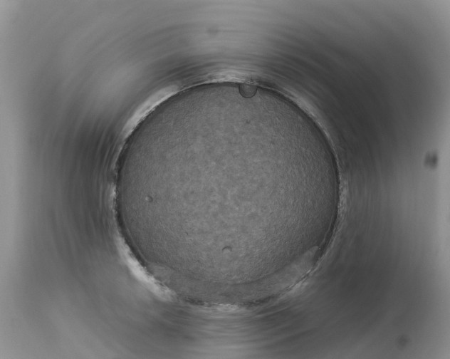 X0000113111042200909111110