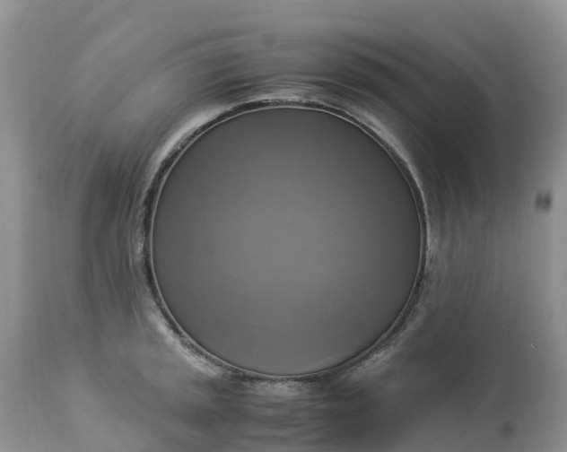 X0000113111045200909111110