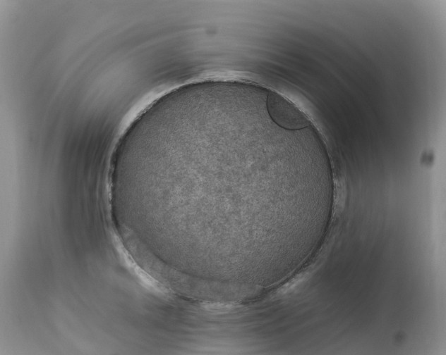 X0000113111046200909111110