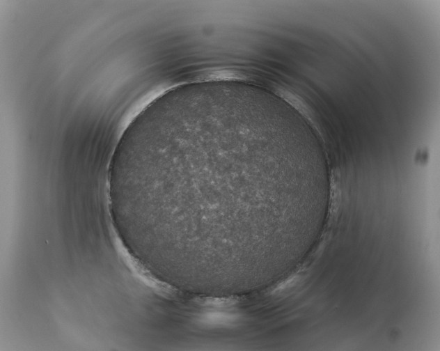 X0000113111047200909111110