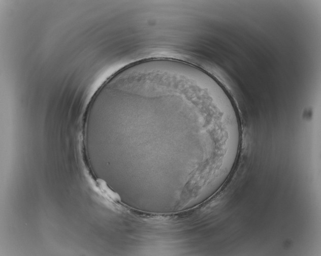 X0000113111048200909111110