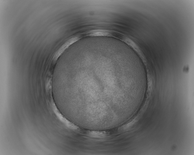 X0000113111049200909111110