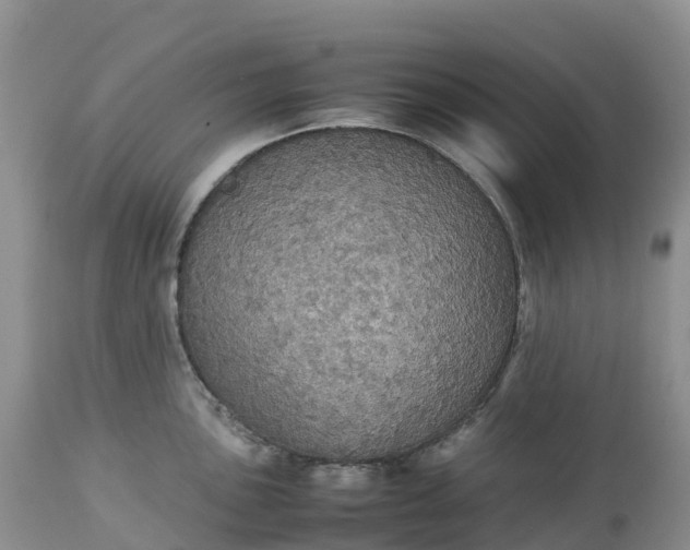 X0000113111051200909111110