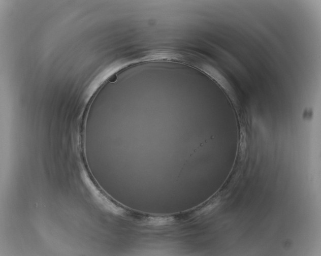 X0000113111055200909111110
