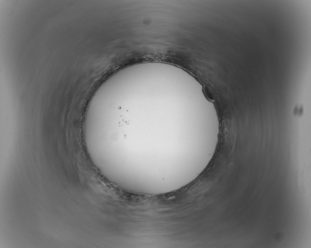 X0000113111057200909111110