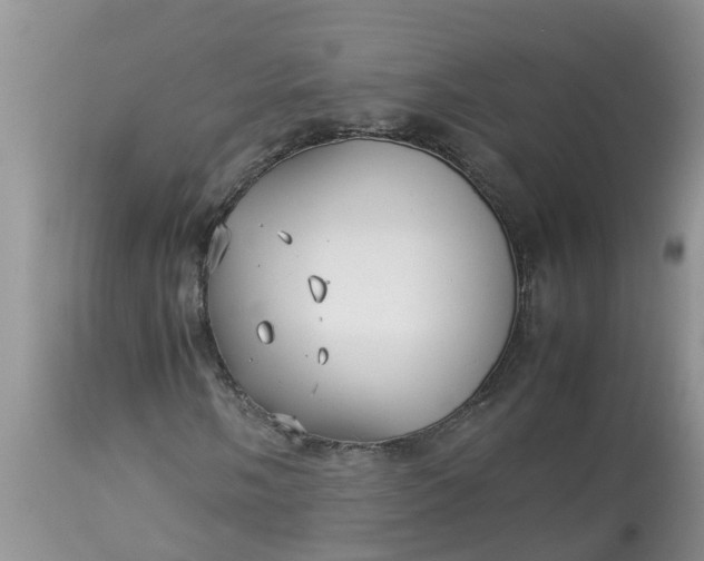 X0000113111058200909111110