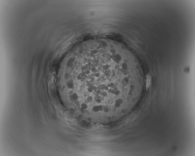 X0000113111059200909111110