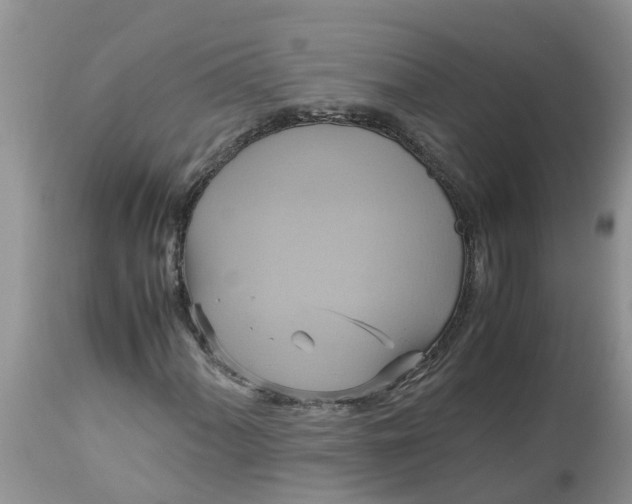 X0000113111060200909111110