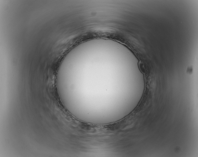 X0000113111061200909111110