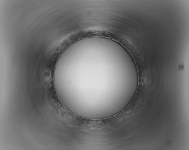 X0000113111062200909111110