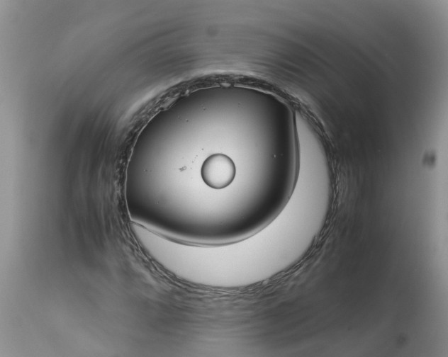 X0000113111064200909111110