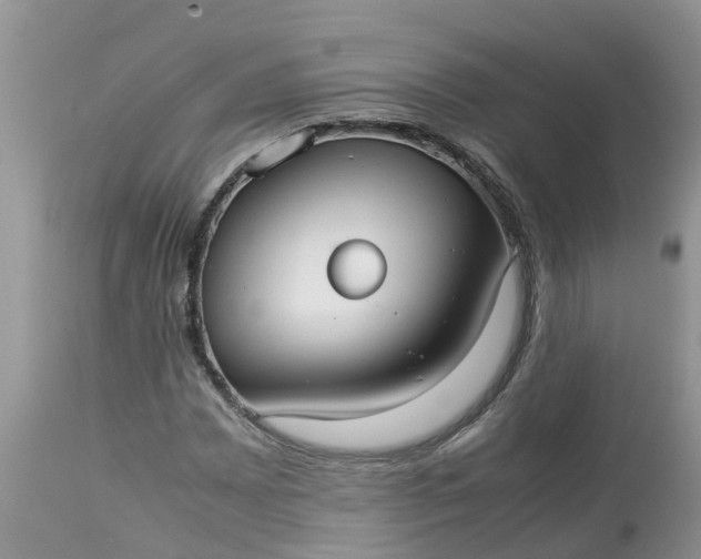 X0000113111065200909111110