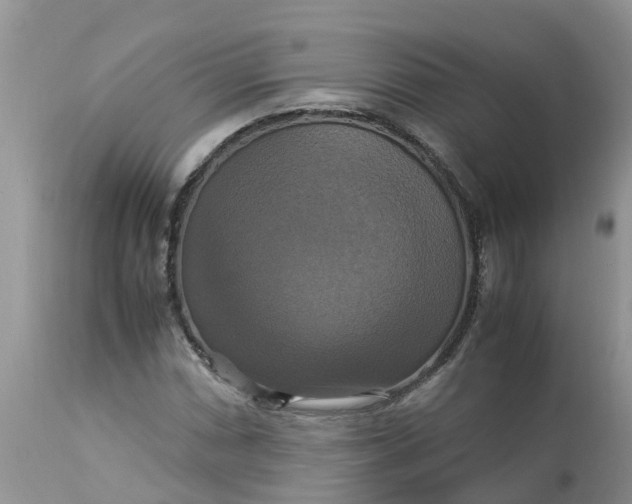 X0000113111066200909111110