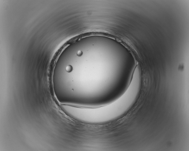 X0000113111068200909111110