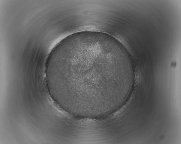X0000113111070200909111110